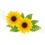 カシモWiMAX 支払い方法